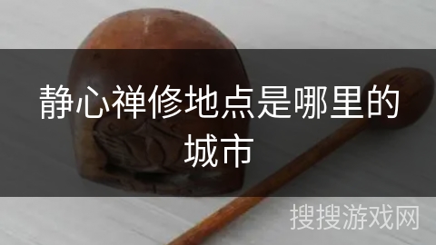 静心禅修地点是哪里的城市