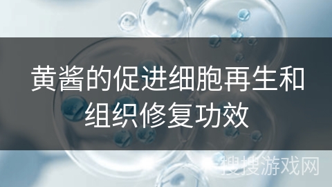 黄酱的促进细胞再生和组织修复功效