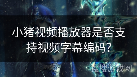 小猪视频播放器是否支持视频字幕编码？