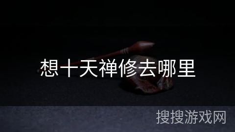 想十天禅修去哪里