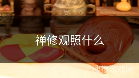 禅修观照什么