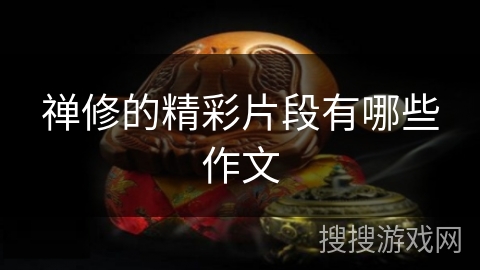 禅修的精彩片段有哪些作文