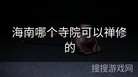 海南哪个寺院可以禅修的