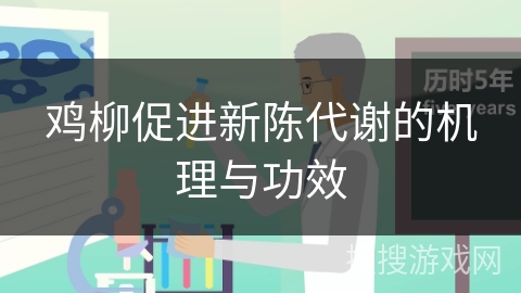 鸡柳促进新陈代谢的机理与功效