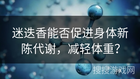 迷迭香能否促进身体新陈代谢，减轻体重？