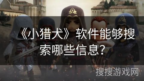 《小猎犬》软件能够搜索哪些信息？