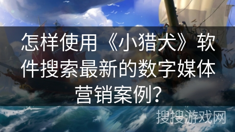 怎样使用《小猎犬》软件搜索最新的数字媒体营销案例？