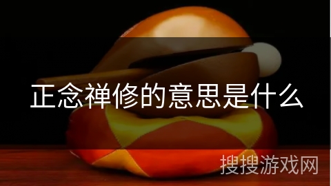 正念禅修的意思是什么