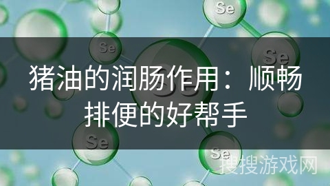 猪油的润肠作用：顺畅排便的好帮手