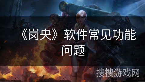 《岗央》软件常见功能问题