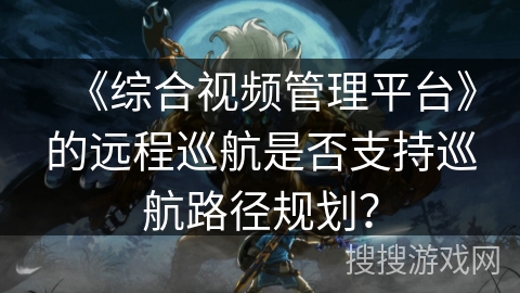 《综合视频管理平台》的远程巡航是否支持巡航路径规划？