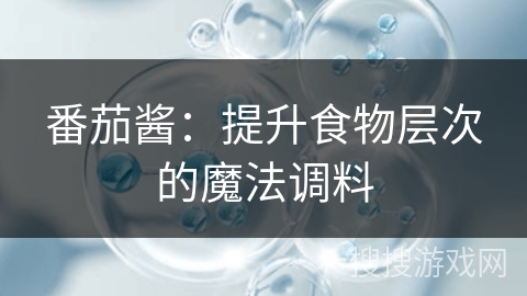 番茄酱：提升食物层次的魔法调料