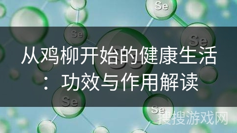 从鸡柳开始的健康生活:功效与作用解读 从鸡柳开始的健康生活:功效与作用解读