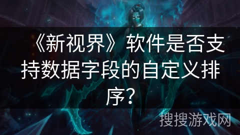 《新视界》软件是否支持数据字段的自定义排序？