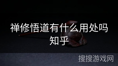 禅修悟道有什么用处吗知乎