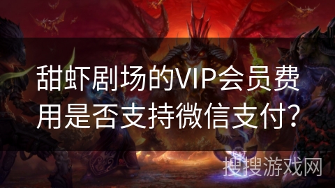 甜虾剧场的VIP会员费用是否支持微信支付？