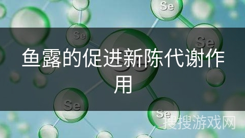 鱼露的促进新陈代谢作用