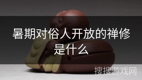 暑期对俗人开放的禅修是什么