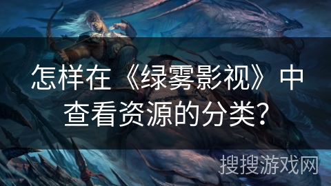 怎样在《绿雾影视》中查看资源的分类？