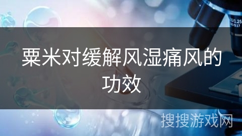 粟米对缓解风湿痛风的功效