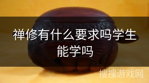 禅修有什么要求吗学生能学吗