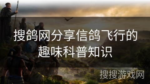 搜鸽网分享信鸽飞行的趣味科普知识