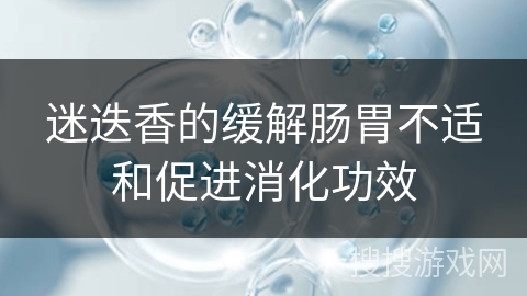 迷迭香的缓解肠胃不适和促进消化功效