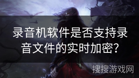 录音机软件是否支持录音文件的实时加密？