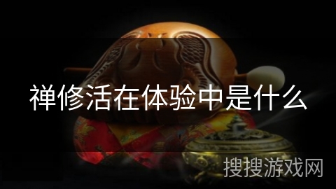 禅修活在体验中是什么