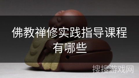 佛教禅修实践指导课程有哪些