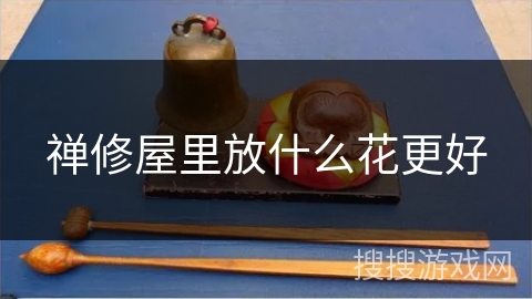 禅修屋里放什么花更好