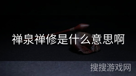 禅泉禅修是什么意思啊