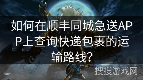 如何在顺丰同城急送APP上查询快递包裹的运输路线？