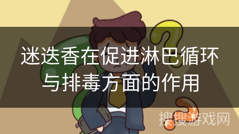 迷迭香在促进淋巴循环与排毒方面的作用