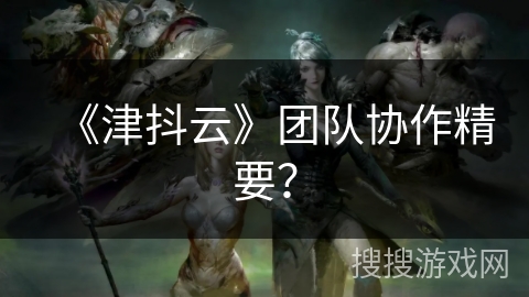 《津抖云》团队协作精要？