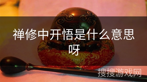 禅修中开悟是什么意思呀