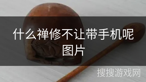 什么禅修不让带手机呢图片