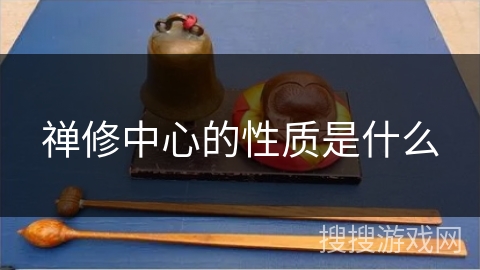 禅修中心的性质是什么