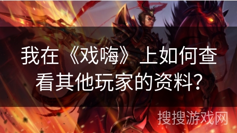 我在《戏嗨》上如何查看其他玩家的资料？