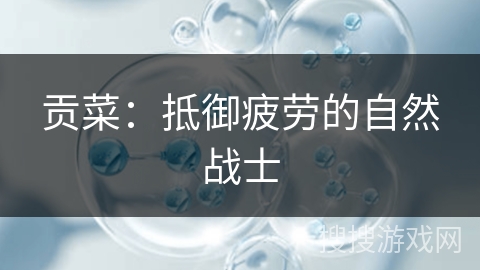 贡菜：抵御疲劳的自然战士