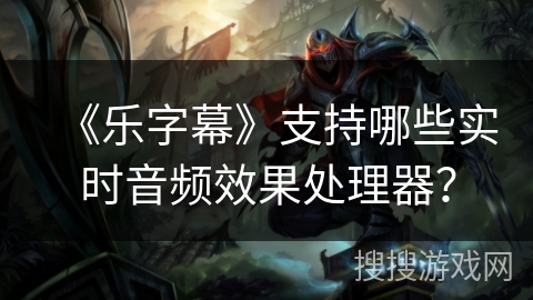 《乐字幕》支持哪些实时音频效果处理器？