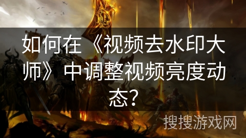 如何在《视频去水印大师》中调整视频亮度动态？