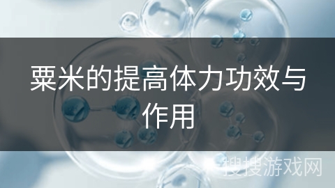 粟米的提高体力功效与作用