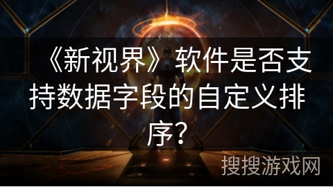 《新视界》软件是否支持数据字段的自定义排序? 《新视界》软件是否支持数据字段的自定义排序?