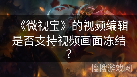 《微视宝》的视频编辑是否支持视频画面冻结？
