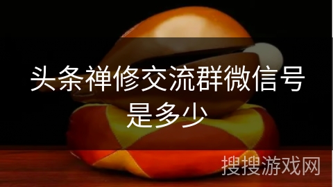 头条禅修交流群微信号是多少