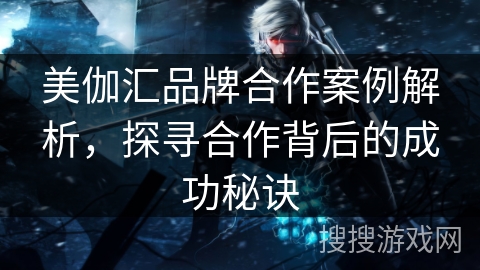 美伽汇品牌合作案例解析，探寻合作背后的成功秘诀