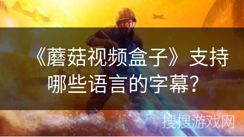 《蘑菇视频盒子》支持哪些语言的字幕？