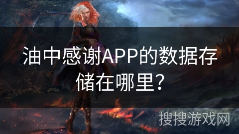 油中感谢APP的数据存储在哪里？