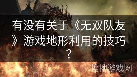 有没有关于《无双队友》游戏地形利用的技巧？